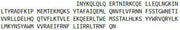Recombinant Interferon Beta (IFNb), RPU54696