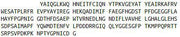 Recombinant Matrix Metalloproteinase 14 (MMP14), RPU54701