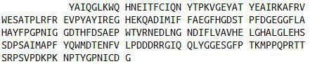 Recombinant Matrix Metalloproteinase 14 (MMP14), RPU54701