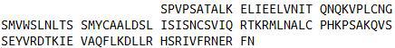 Recombinant Interleukin 13 (IL13), RPU54706