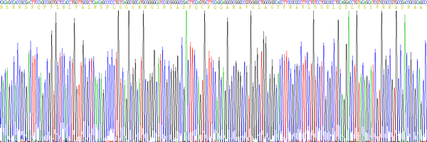 Eukaryotic Endostatin (ES), RPU54719