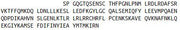 Eukaryotic Interleukin 10 (IL10), RPU54720