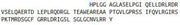 Recombinant Natriuretic Peptide Precursor B (NPPB), RPU54721