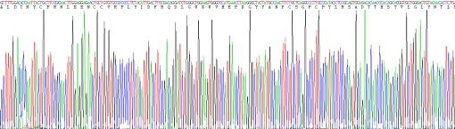 Recombinant Rat Transforming Growth Factor Beta 3 (TGFb3)