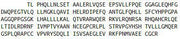 Recombinant Anti-Mullerian Hormone (AMH), RPU54726