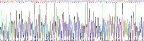 Human Nerve Growth Factor (NGF), Active Protein