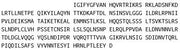 Recombinant Prominin 1 (PROM1), RPU54736