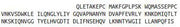 Eukaryotic Tumor Necrosis Factor Ligand Superfamily, Member 18 (TNFSF18), RPU54740