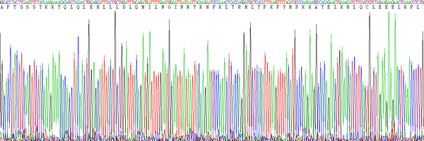 Eukaryotic Interleukin 2 (IL2), RPU54742