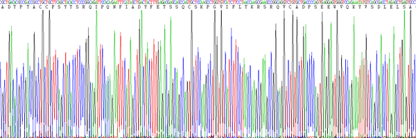 Eukaryotic Macrophage Inflammatory Protein 1 Alpha (MIP1a), RPU54743