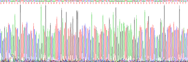 Eukaryotic Beta-2-Microglobulin (b2M), RPU54746