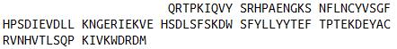 Eukaryotic Human Beta-2-Microglobulin (b2M)