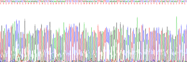 Eukaryotic Interferon Alpha (IFNa), RPU54747