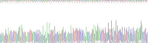 Human Interleukin 4 (IL4), Active Protein