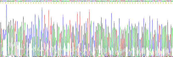 Eukaryotic Interleukin 6 (IL6), RPU54750