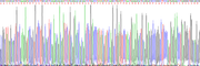 Eukaryotic Oncostatin M (OSM), RPU54752