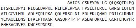 Eukaryotic Human Oncostatin M (OSM)