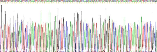 Eukaryotic Fatty Acid Binding Protein 4 (FABP4), RPU54753