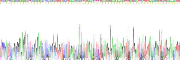 Eukaryotic Interleukin 6 (IL6), RPU54755