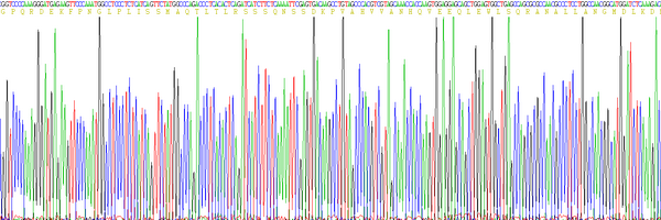 Eukaryotic Tumor Necrosis Factor Alpha (TNFa), RPU54756