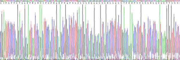 Eukaryotic Sex Hormone Binding Globulin (SHBG), RPU54758