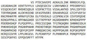 Eukaryotic Histidine Rich Glycoprotein (HRG), RPU54759