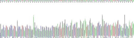 Eukaryotic Interleukin 2 (IL2), RPU54760