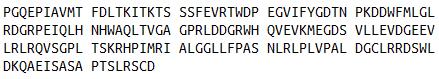 Eukaryotic Human Sex Hormone Binding Globulin (SHBG)