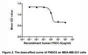 The dose-effect curve of FNDC5 was shown in Figure 2. It was obvious that FNDC5 significantly decreased cell viability of MDA-MB-231 cells. The ED50 for this effect is typically 7.23~21.92ug/ml.