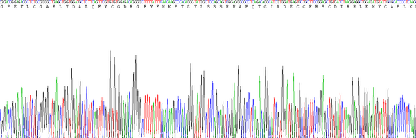 Eukaryotic Insulin Like Growth Factor 1 (IGF1), RPU54766