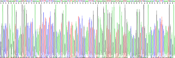 Eukaryotic Interleukin 6 (IL6), RPU54767