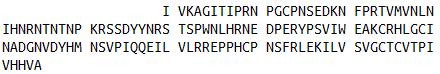 Eukaryotic Interleukin 17 (IL17), RPU54768