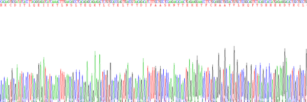 Eukaryotic Interleukin 4 (IL4), RPU54769