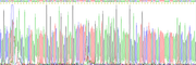 Eukaryotic Interferon Gamma (IFNg), RPU54773