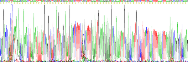 Eukaryotic Interferon Gamma (IFNg), RPU54773