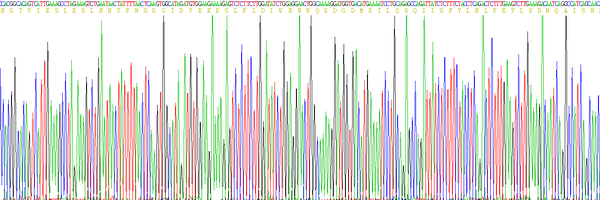 Eukaryotic Interferon Gamma (IFNg), RPU54774