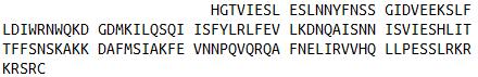Eukaryotic Mouse Interferon Gamma (IFNg)