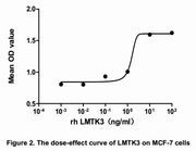 The dose-effect curve of LMTK3 was shown in Figure 2. It was obvious that LMTK3 significantly promoted cell proliferation of MCF-7 cells. The ED50 for this effect is approximately 6.14~50ng/mL.