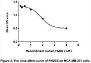 Cell viability was assessed by CCK-8 (Cell Counting Kit-8 ) assay after incubation with various concentrations of FNDC5 for 48h. The dose-effect curve of FNDC5 was shown in Figure 2. It was obvious that FNDC5 significantly decreased cell viability of MDA-MB-231 cells. The ED50 for this effect is typically 1.875 nM.