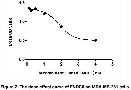 Cell viability was assessed by CCK-8 (Cell Counting Kit-8 ) assay after incubation with various concentrations of FNDC5 for 48h. The dose-effect curve of FNDC5 was shown in Figure 2. It was obvious that FNDC5 significantly decreased cell viability of MDA-MB-231 cells. The ED50 for this effect is typically 1.875 nM.