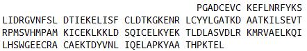 Eukaryotic Human Cerebral Dopamine Neurotrophic Factor (CDNF)
