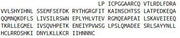 Eukaryotic Prolactin (PRL), RPU54781