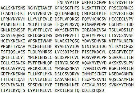 Eukaryotic Leptin Receptor (LEPR), RPU54783
