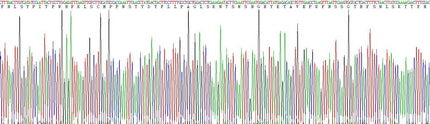 Eukaryotic Human Leptin Receptor (LEPR)
