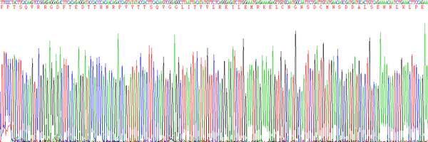 Eukaryotic Interleukin 6 (IL6), RPU54787