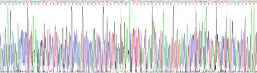Eukaryotic Interleukin 10 (IL10), RPU54791