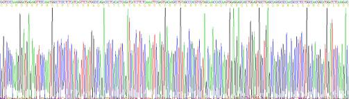 Mouse Tumor Necrosis Factor Alpha (TNFa), Active Protein