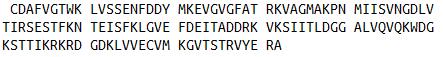 Eukaryotic Mouse Fatty Acid Binding Protein 4 (FABP4)