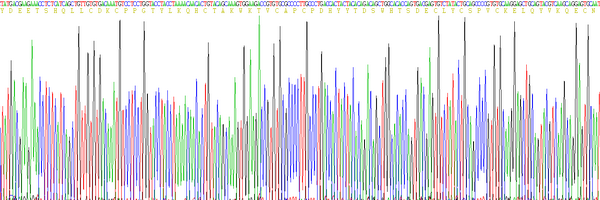 Eukaryotic Osteoprotegerin (OPG), RPU54797