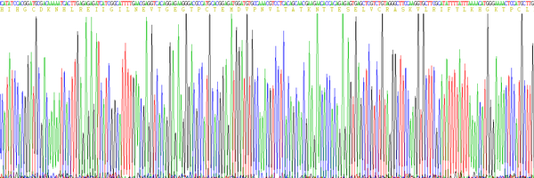 Eukaryotic Interleukin 4 (IL4), RPU54798